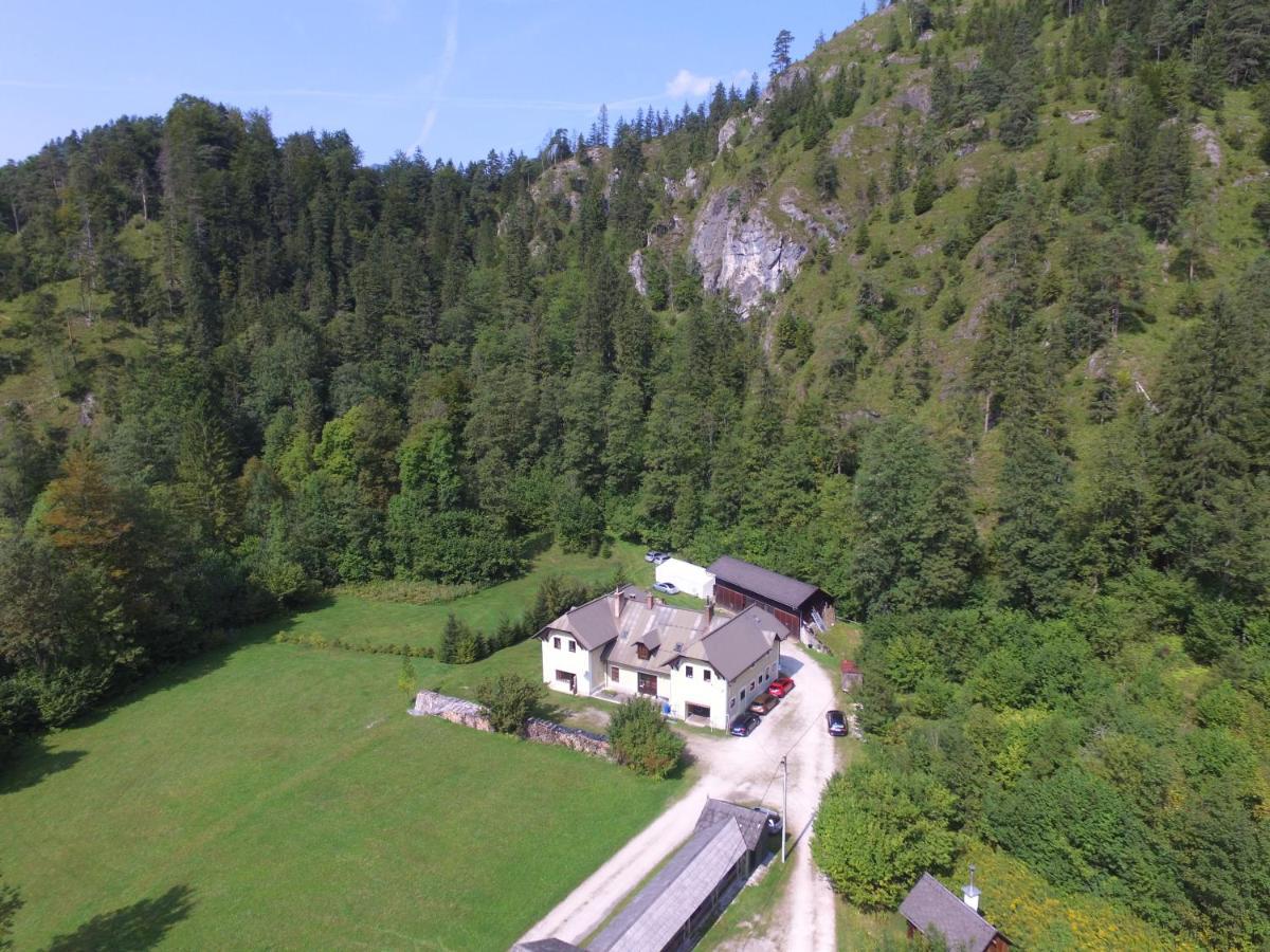 Penzion Black Sheeps Adventures Wildalpen Exteriör bild