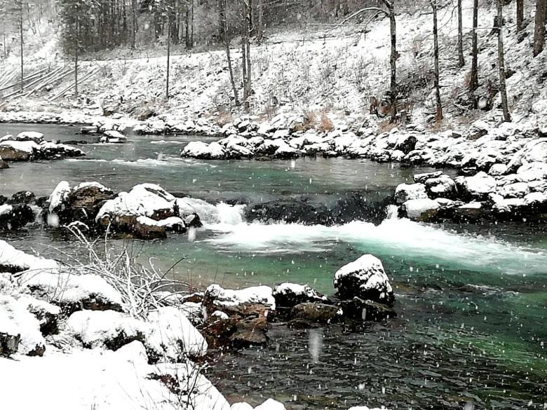 Penzion Black Sheeps Adventures Wildalpen Exteriör bild