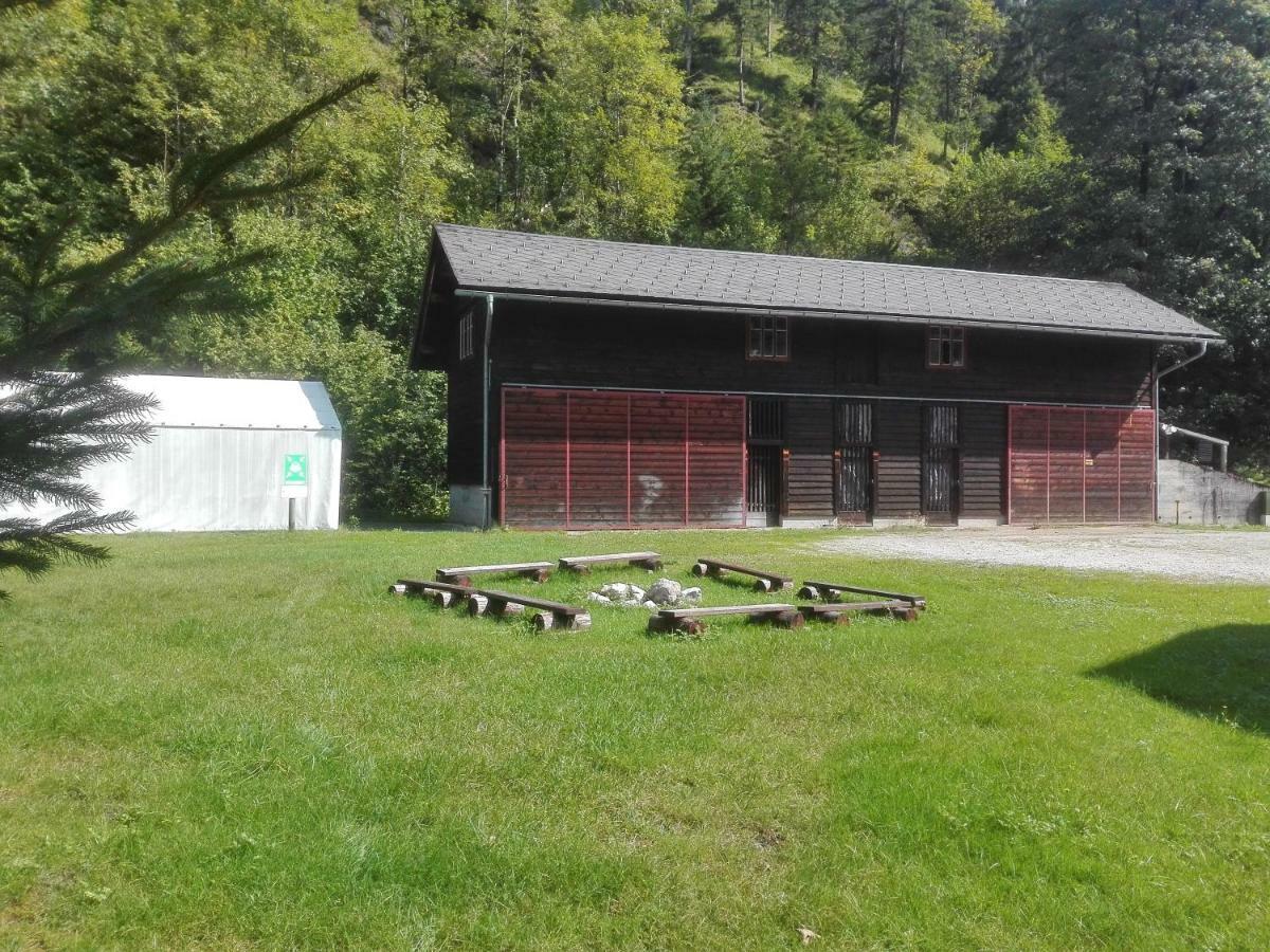 Penzion Black Sheeps Adventures Wildalpen Exteriör bild